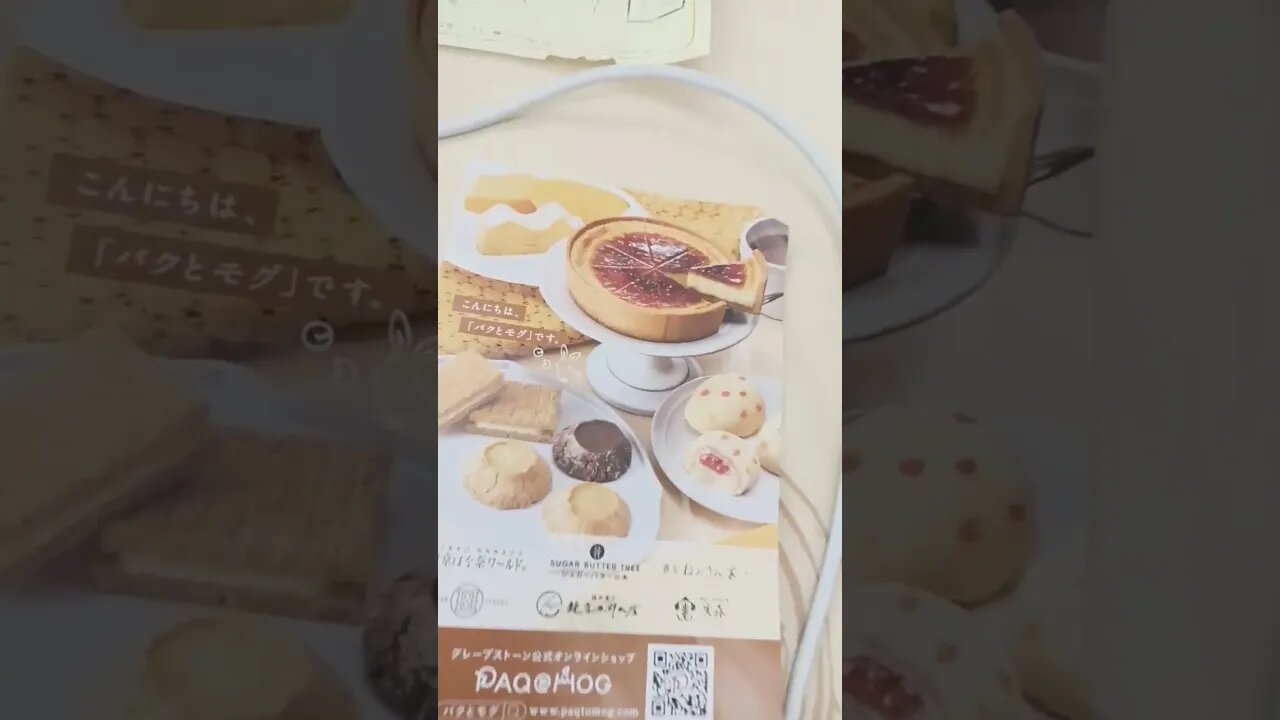 #etsukojunio #etsukofans #fransiscaofficial #teamfransisca #沉连清 #fransisca #fransiscametaworld