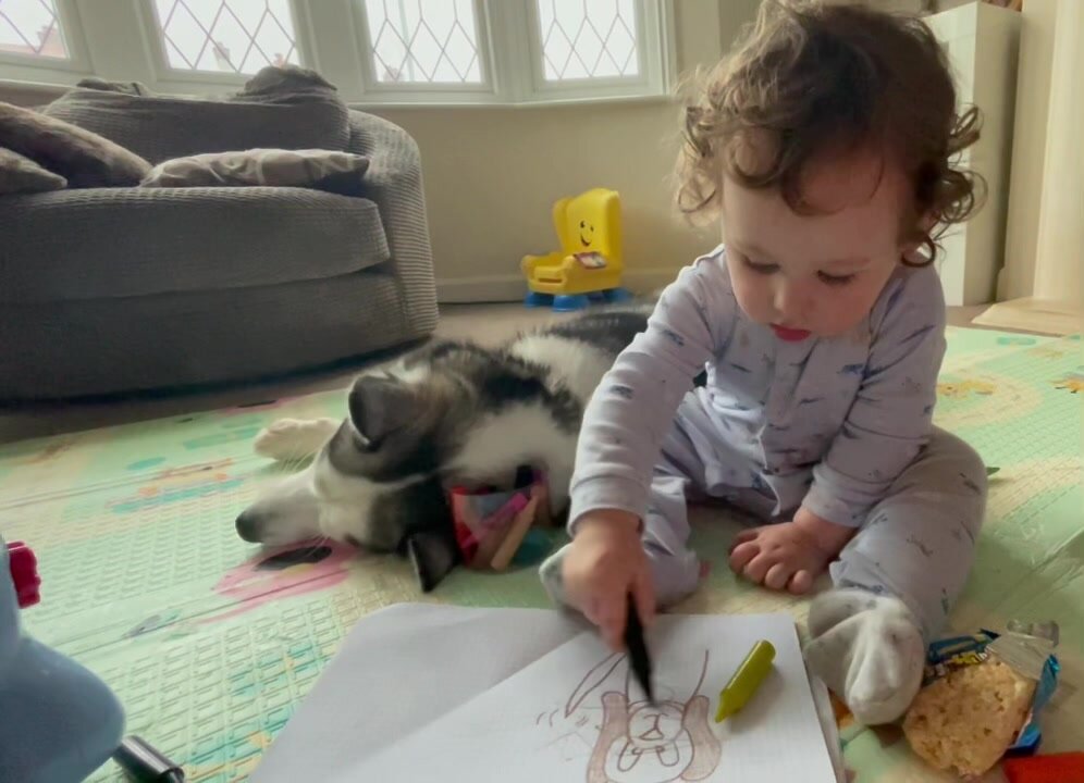 Baby loves to draw pictures next to a sleeping dog