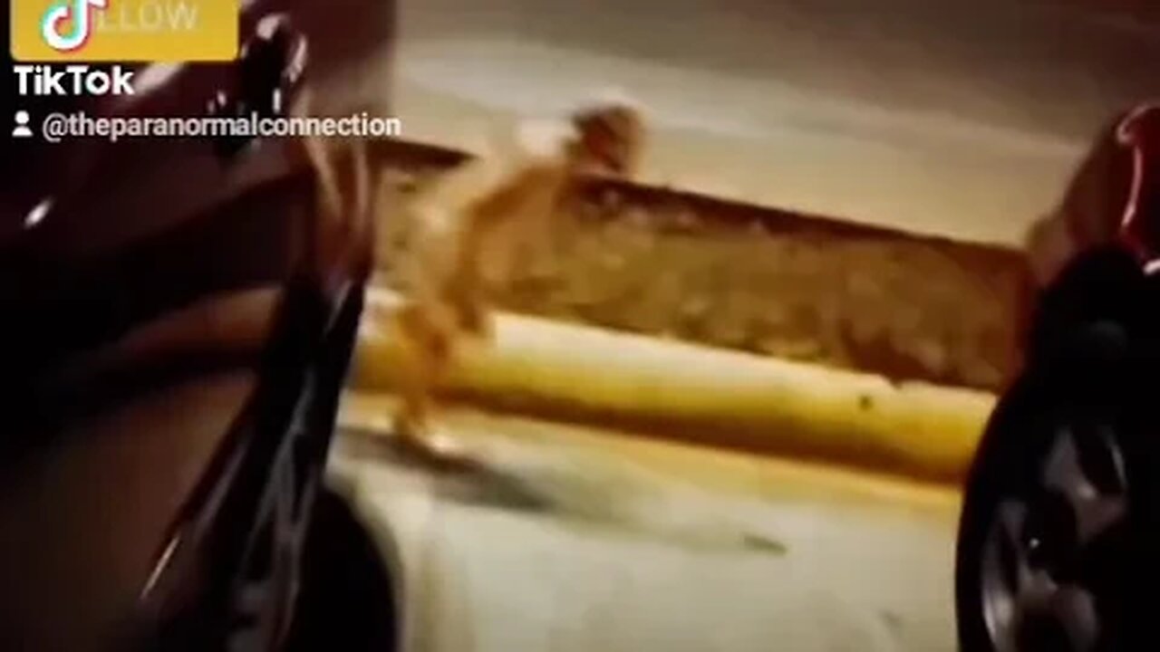 The Creepy Things