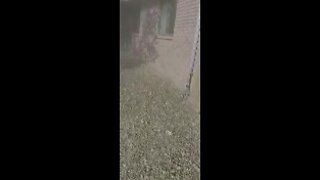 WATCH: Neighbors find Broken Arrow family dead in flaming home