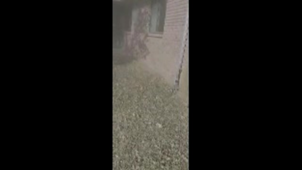 WATCH: Neighbors find Broken Arrow family dead in flaming home
