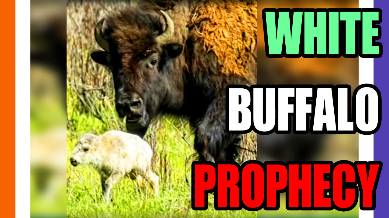 🔴LIVE: Ancient Prophecy FULFILLED, TayIor Swift's Plane TARGETED, Joyless Reid Showed Them 🟠⚪🟣