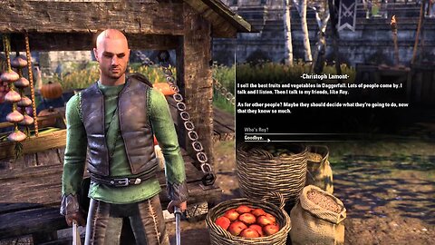 Elder Scrolls Online: The Eyes and Ears of Daggerfall!