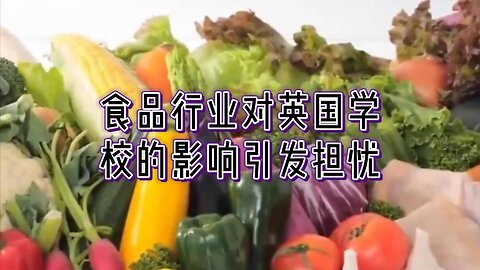 食品行业对英国学校的影响引发担忧