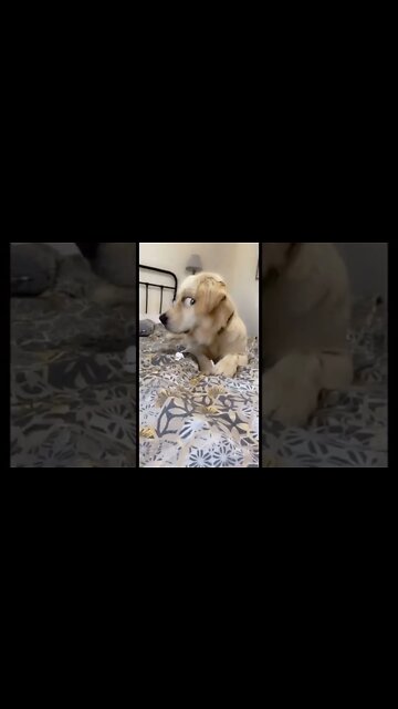 FOR Your EYES ONLY , That NEW Sexy EYE Trend , #short