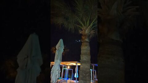 Plane nearly hits palm tree in Cyprus