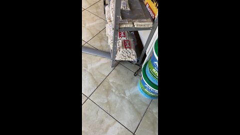 O MOVIMENTO CRIA INTERAÇÃO