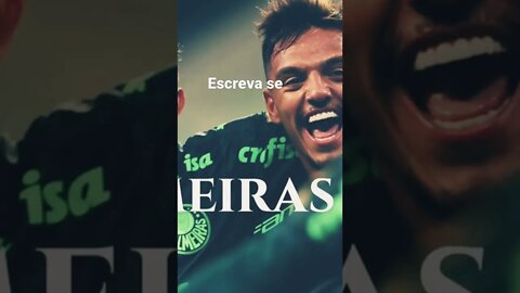 El verdão_notícias