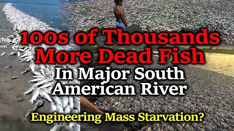 100,000s of DEAD FISH! What Are They Doing to Us?? - Tim Truth