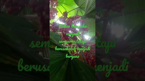 tetap berusaha berguna untuk orang lain#katakatabijak #katamutiara #berusahabaik