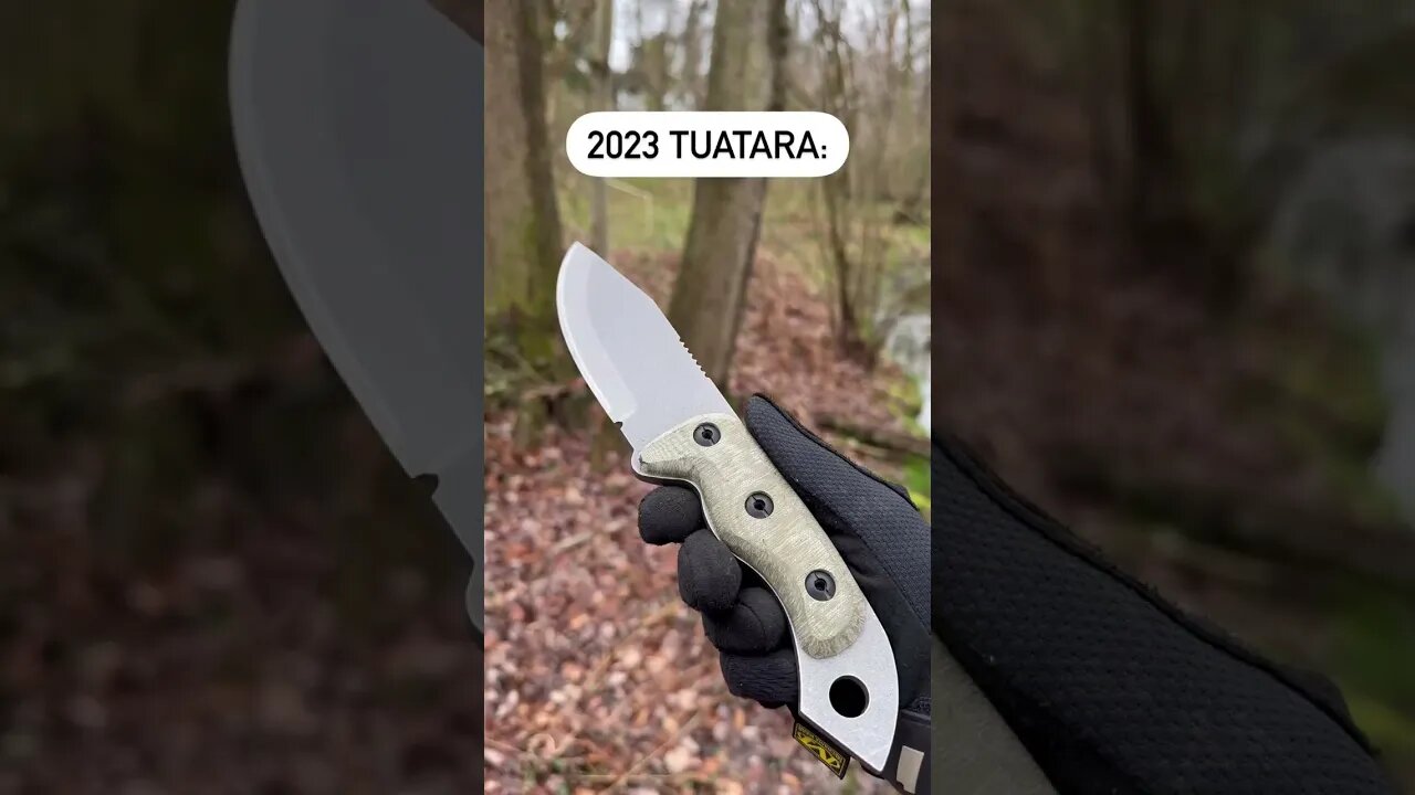 2022 vs. 2023 Shed Knives Tuatara | Shed Knives #shedknives #shorts