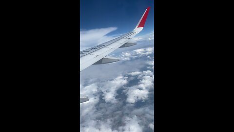 Fly in the sky