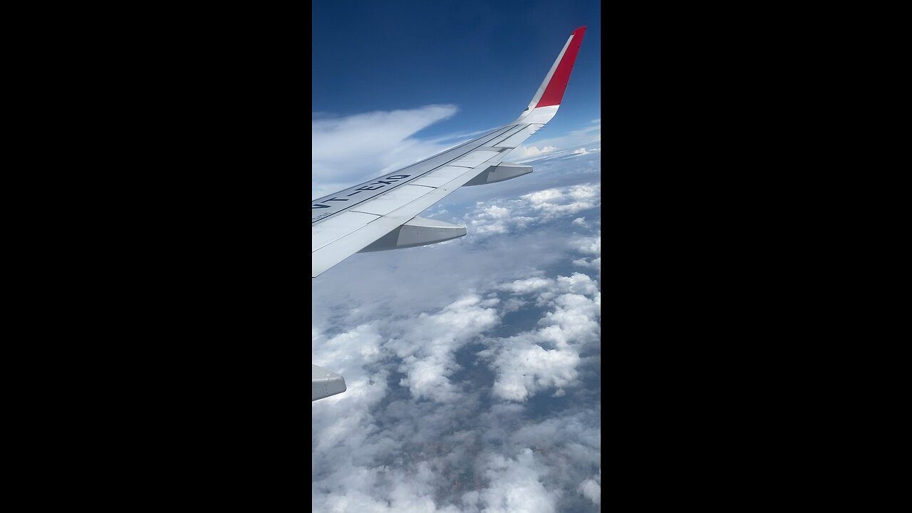 Fly in the sky