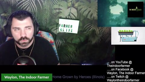 Waylon, The Indoor Farmer EP#53: Nervous As I Get Closer To Harvest Time. NFSOT