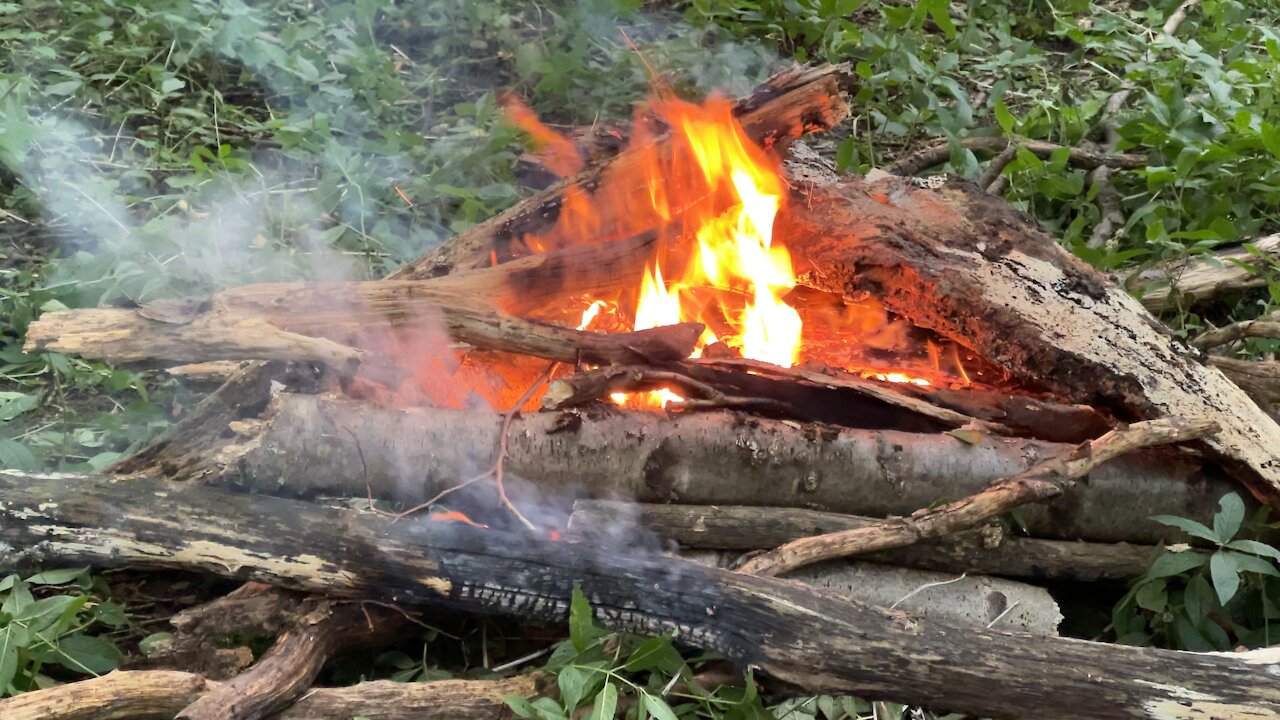 Wild Camping Live From The Forest