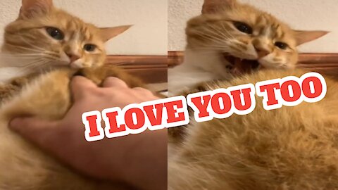 My cat surprised me and said I love you too
