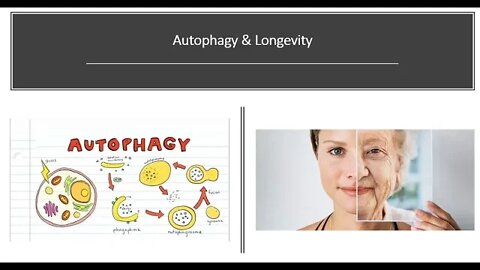 Autophagy & Longevity How to Live Longer