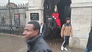 Grabbing the reins #horseguardsparade