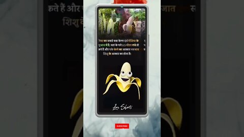 Intresting Fact about everything #shorts #ytshorts #ias #ips #upsc #gkinhindi #gkquiz #gktoday