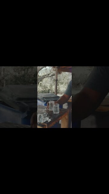 Freshly built kitchen Knife sharpness!