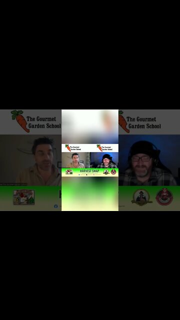 The Gourmet Garden School talks with Harvest Swap about #Communitygarden and #growing your own food