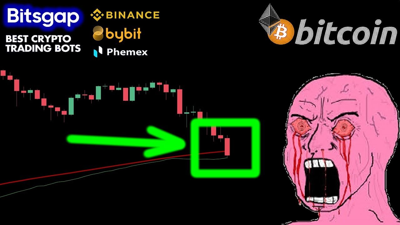 BITCOIN & CRYPTO CRASHING | IS THE BULL MARKET OVER?