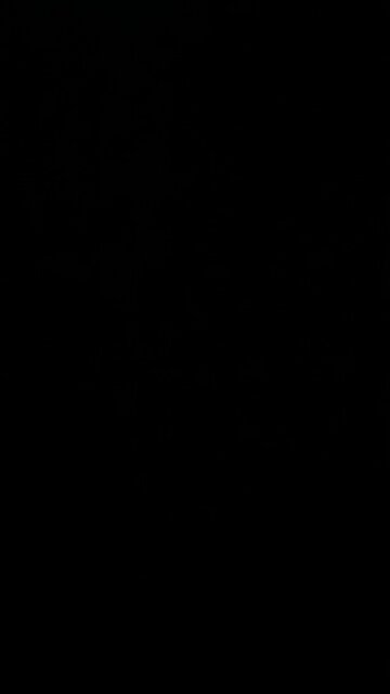 How to pronounce Trump train