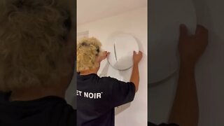 Shopping Day Tiktok wolfshayley