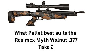 What Pellet best suits the Reximex Myth Ambush Take 2