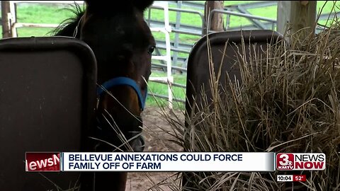 Annexations could force family to leave their urban farm near Bellevue