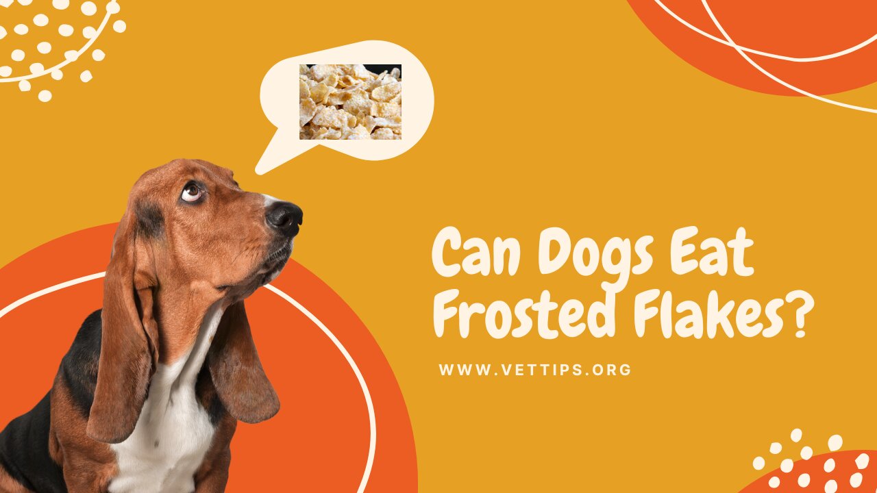 Can Dogs Eat Frosted Flakes? Feisty Fido Vs. Frosted Flakes