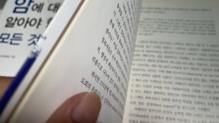 미국사 낯설게 보기 이영효 청교도 아메리카 원주민 유럽인 스페인 왕실 에스파뇰라 세풀베다 바야돌리드 개종