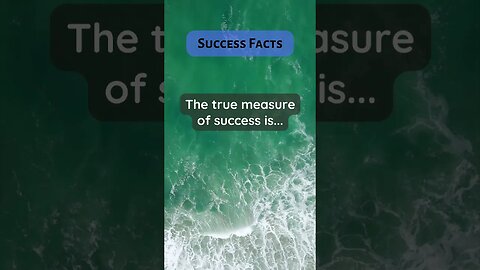 Success Facts true measure success