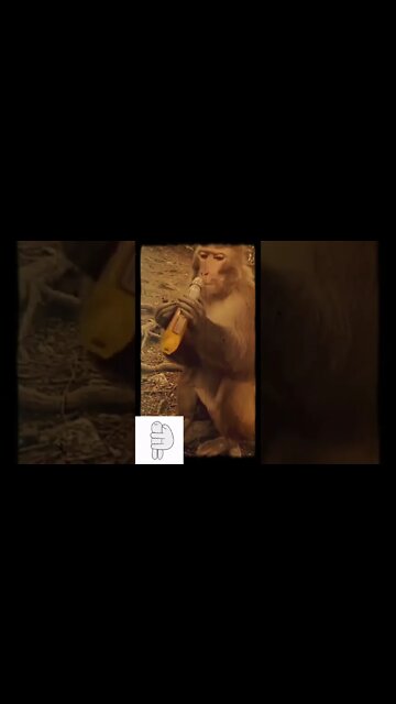 Tum Jise Mout kahete ho hum roj khelte hai use #atitudestatus #atitude_status @Unofficial Status