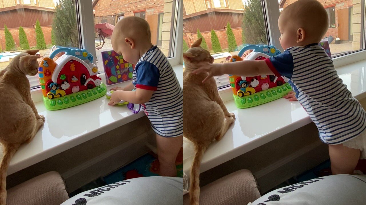 Cute Baby Enjoying & Playing with his Cat & Toys