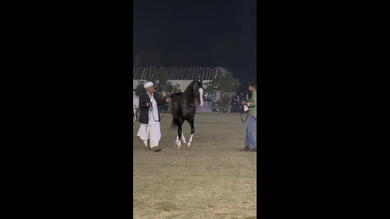 Show time