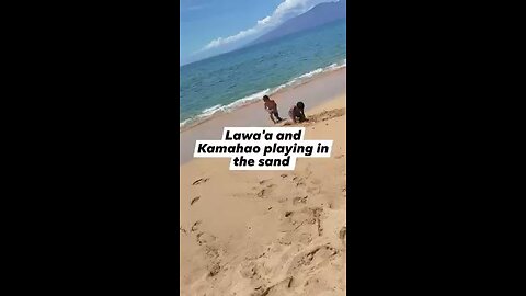 Kids playing at the beach