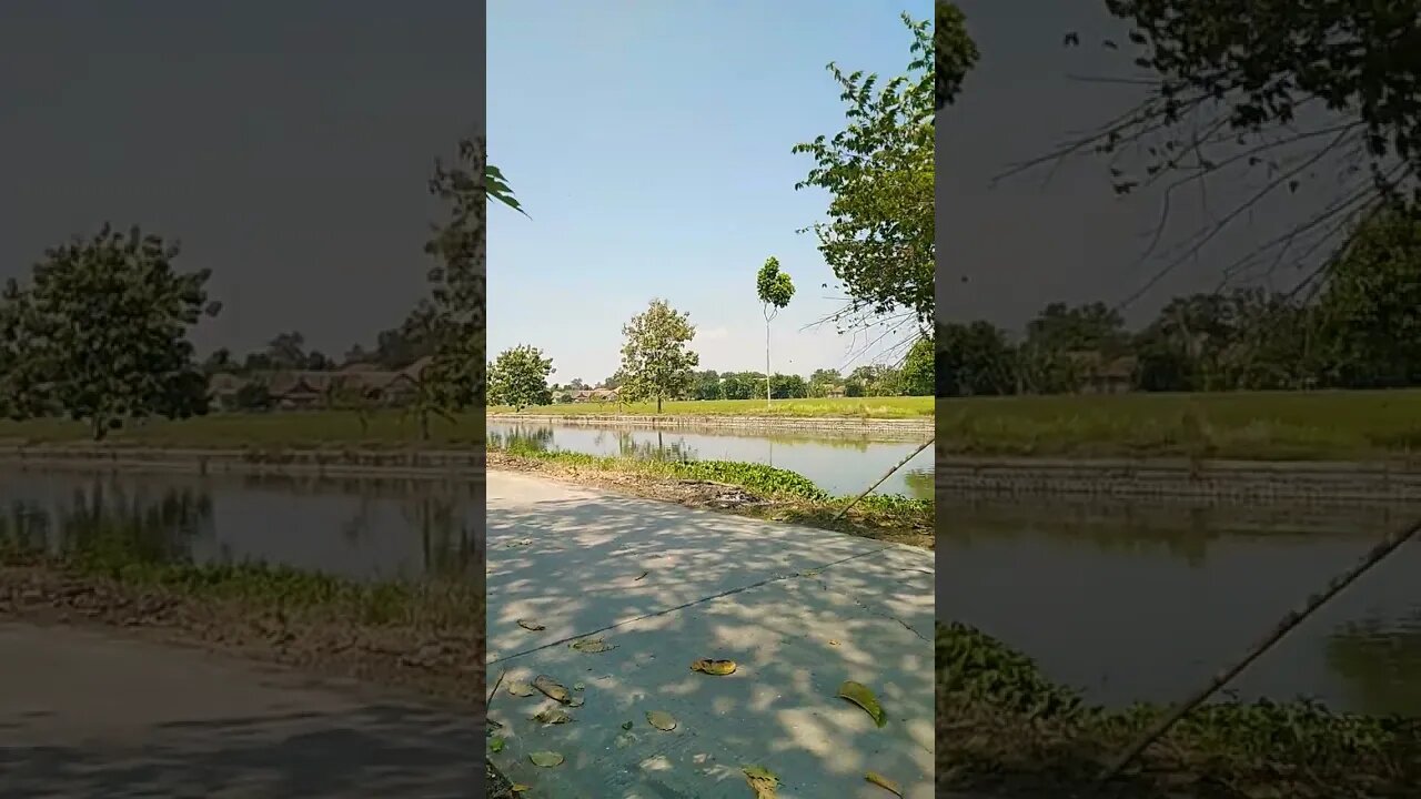 Desa ku