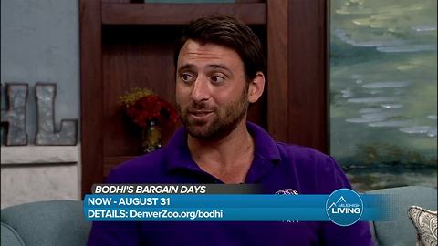 Denver Zoo's Bodhi's Bargain Days running through August 31st