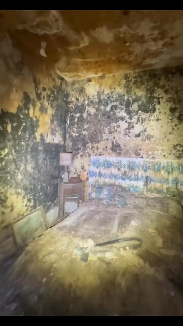 I want to jump on that bed so bad