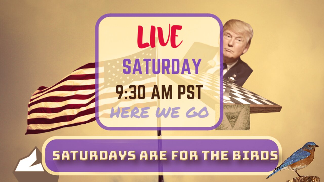 Saturday *LIVE* Saturdays Are For The Birds Edition