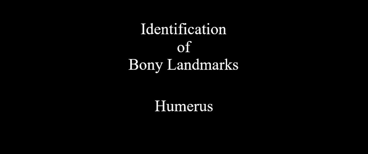 Identification of Bony Landmarks - Humerus