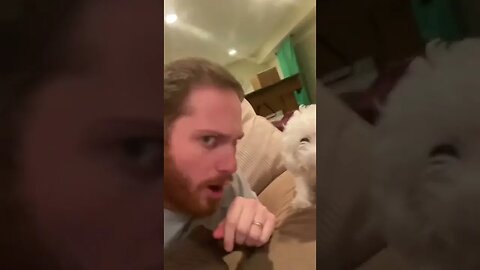 Pretending my dog bit me