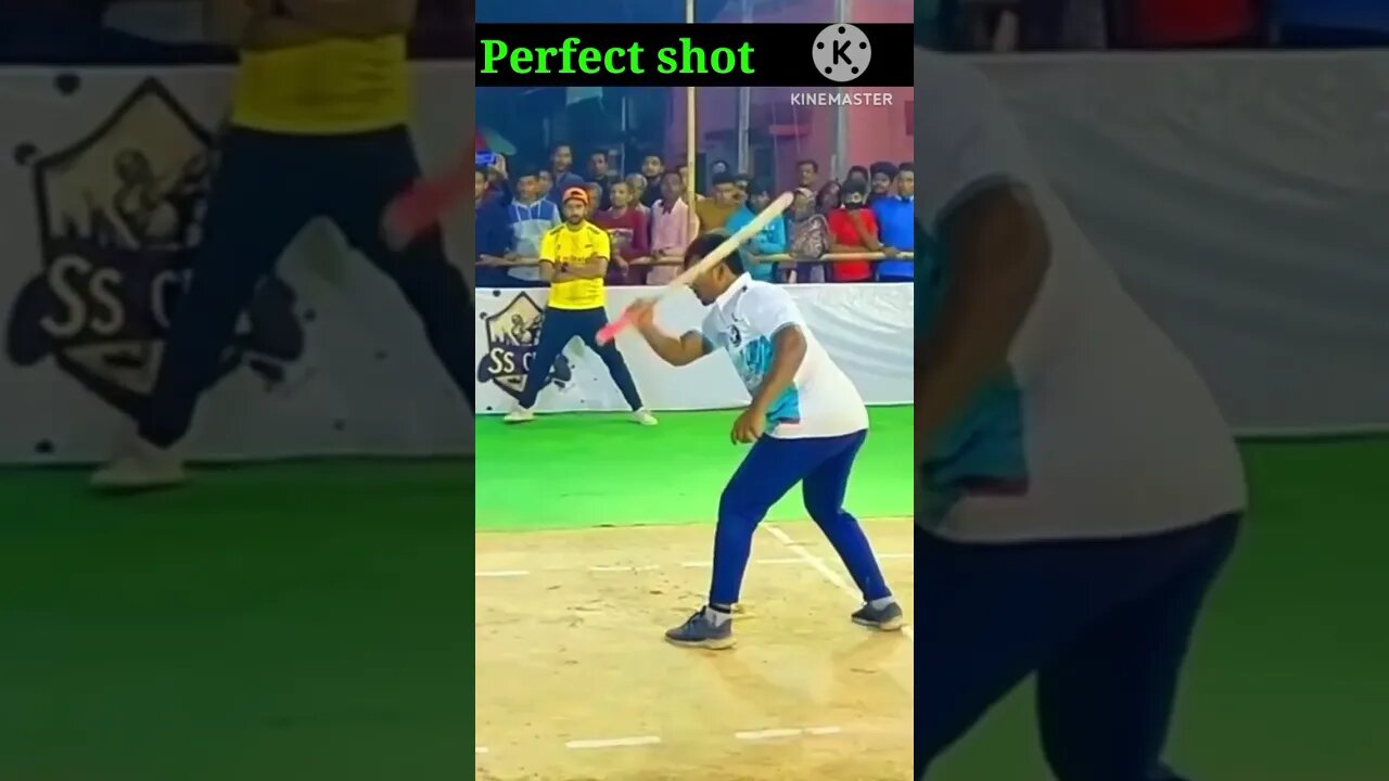 Funny bat 😂😂 #shorts #video #funny