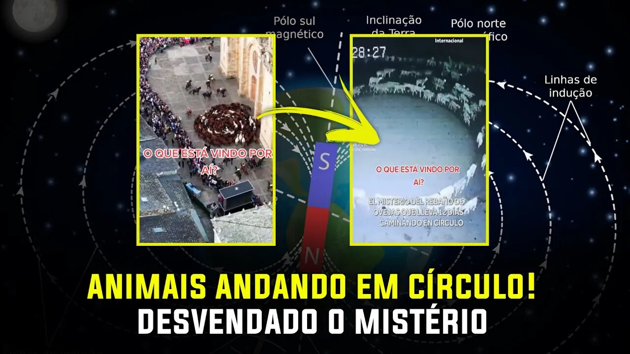 Animais andando em circulo - Apocalipse, inversão dos polos - Disco voador - UFO OVNIs