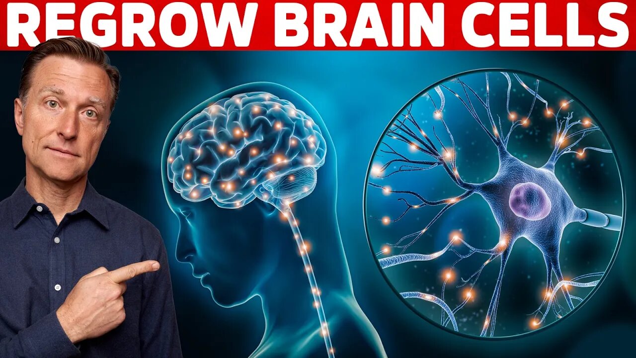 Renew & Protect Your Brain Cells | Brain Derived Neurotrophic Factor – Dr. Berg