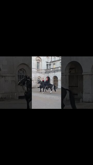 Horse spooked by drums #horseguardsparade