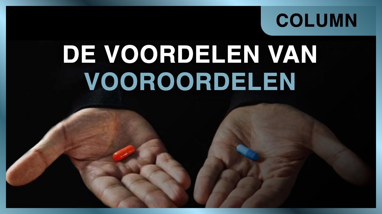 De voordelen van vooroordelen - Frank Karsten