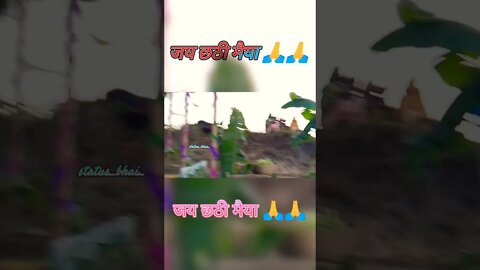 ❤️कांच ही बांस के बहंगिया ❤️#chhathpuja #status_bhai_ #shorts #chhatpujastatus #trending