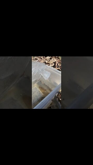 2 Hints: Temperature is Important & Galileo